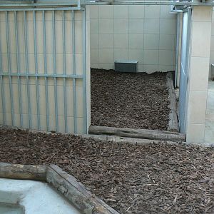 Peruvia - South american tapirs house