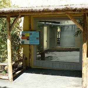 Peruvia - South american tapirs house
