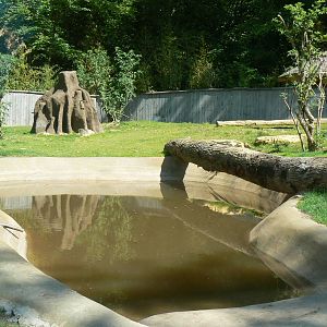 Peruvia - Tapirs and giant anteaters mixed exhibit