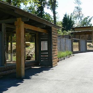 Peruvia - Tapirs and giant anteaters mixed exhibit