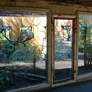 Peruvia - southern tamanduas and cottonn-top tamarins exhibit