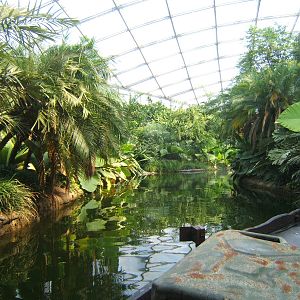 View inside Gondawanaland from boat ride