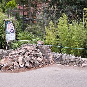 Tiger Raised Viewing Construction - 07/09/2011