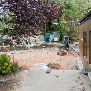 Giant Otter Development - 07/09/2011