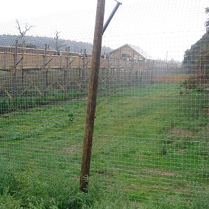 Tiger Enclosure - 06/09/2011