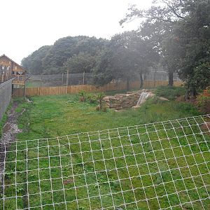 Tiger Enclosure - 06/09/2011
