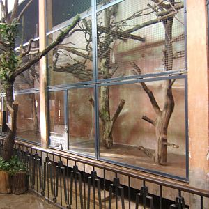 View inside the Monkey House