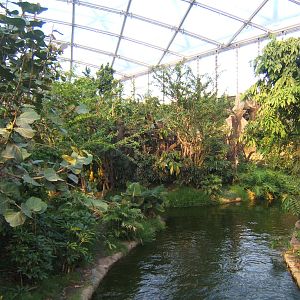 View inside Gondwanaland