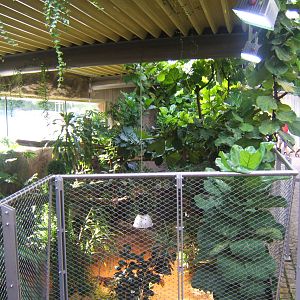 View inside Crocodile House