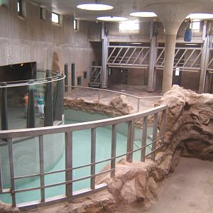 View inside Elephant House