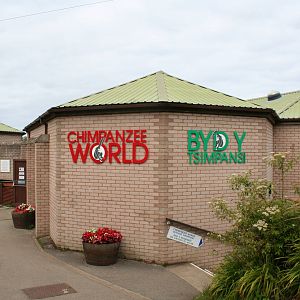 Chimpanzee world indoor area