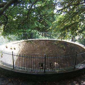 Old Bear Pit at Sheffield Botanical Gardens