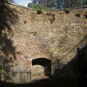Old Bear Pit at Sheffield Botanical Gardens