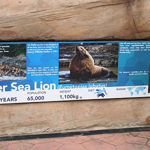 Stellar's sea lion signage