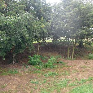 Tiger Enclosure - 06/09/2011