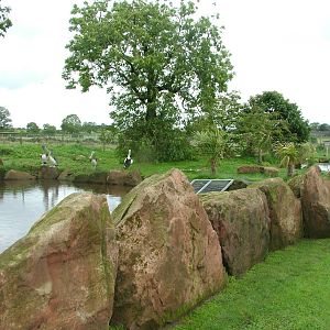 Part of Pelican World at Blackbrook Sept 2008