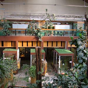 Terrarium interior at Wroclaw Zoo Sept 2008