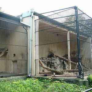 Puma and Lion cages at Wroclaw Zoo Sept 2008