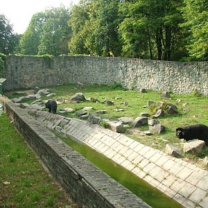 Asian Black Bear enclosure at Katowice Zoo Sept 2008