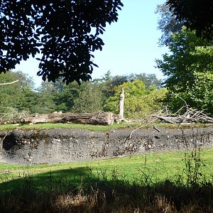Woodland Park Zoo - African Savanna