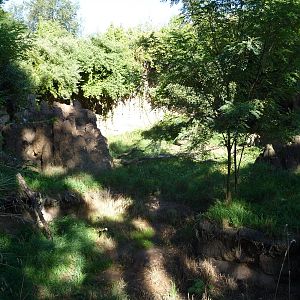 Woodland Park Zoo - African Wild Dog Exhibit