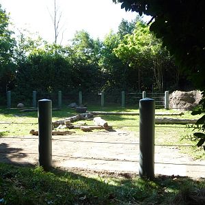 Woodland Park Zoo - Elephant Exhibit