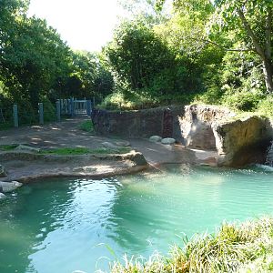 Woodland Park Zoo - Elephant Exhibit