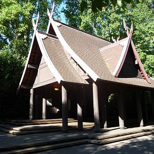 Woodland Park Zoo - Elephant Asian Village