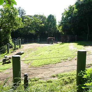 Woodland Park Zoo - Elephant Exhibit