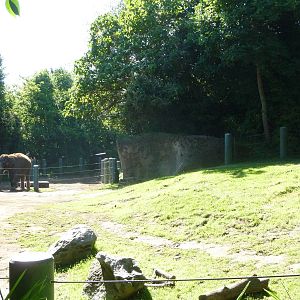 Woodland Park Zoo - Elephant Exhibit