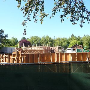 Woodland Park Zoo - Penguin Exhibit