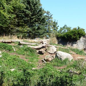 Woodland Park Zoo - Grizzly Bear Exhibit