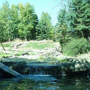 Woodland Park Zoo - Grizzly Bear Exhibit