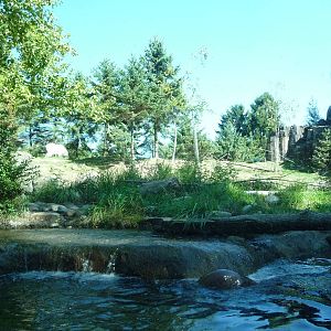 Woodland Park Zoo - River Otter/Mountain Goat Exhibit