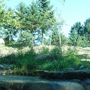 Woodland Park Zoo - River Otter/Mountain Goat Exhibit