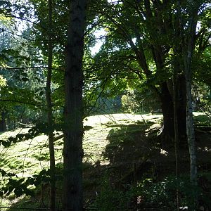 Woodland Park Zoo - Elk Exhibit