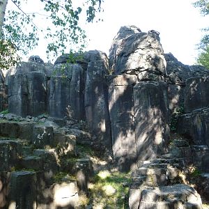 Woodland Park Zoo - Rocky Mountain Goat Exhibit