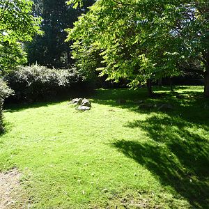 Woodland Park Zoo - Australia Paddock