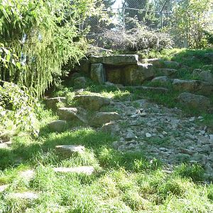 Woodland Park Zoo - Snow Leopard Exhibit