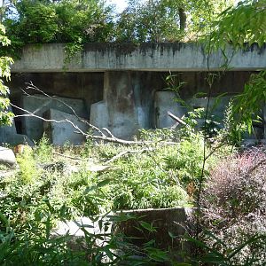 Woodland Park Zoo - Sumatran Tiger Exhibit