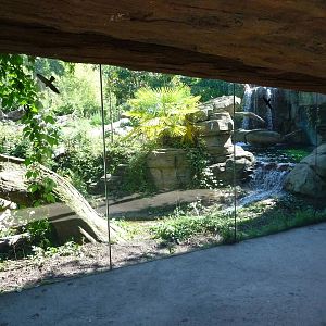 Woodland Park Zoo - Jaguar Cove