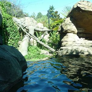 Woodland Park Zoo - Jaguar Cove