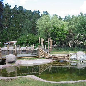 Pygmy hippo exhibit - Parken Zoo, Eskilstuna
