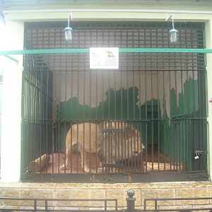 Leningrad Zoo