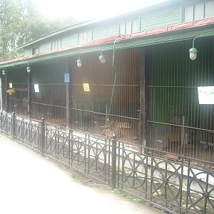 Leningrad Zoo