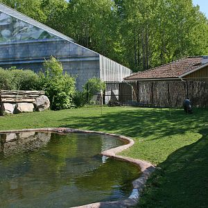 Pygmy hippo exhibit - Parken Zoo, Eskilstuna