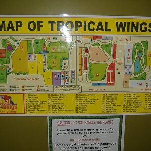 Tropical Wings map Sept 08