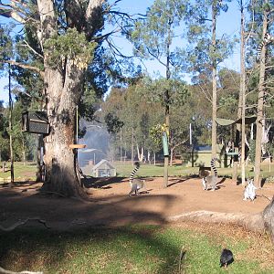 western plains zoo 001