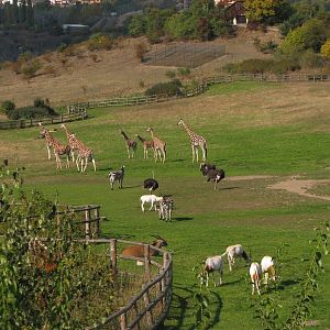 African panorama at Prague zoo
