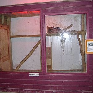 Woodlands Leisure Park, Devon